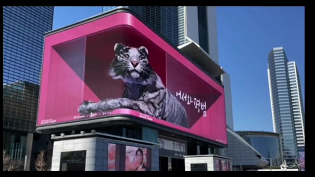 5d video compilation around the world