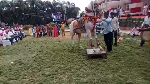 Horsh dance in Indian dance