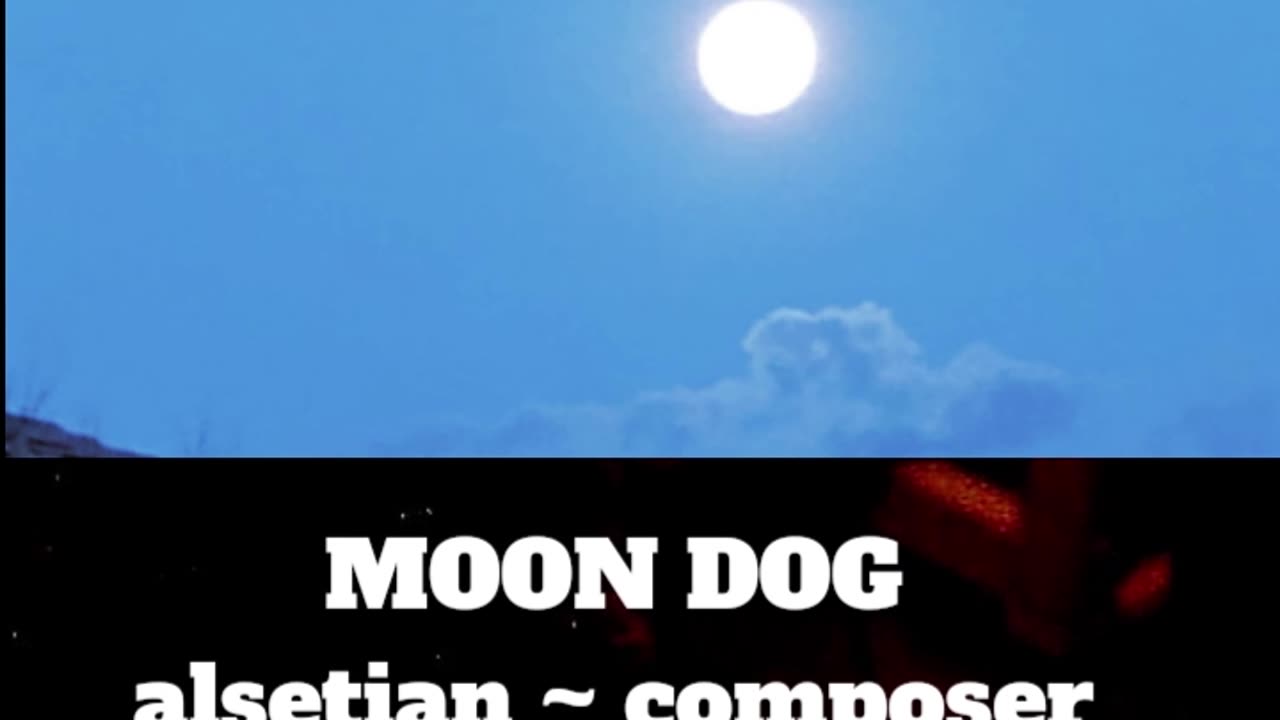 Moondog ~ an instrumental ~ alsetian