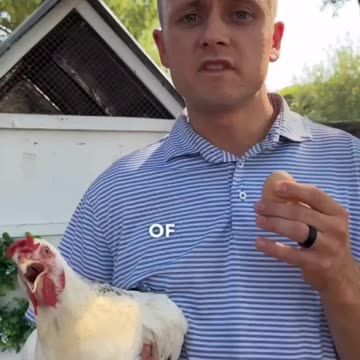 CHICKENS, EGGS & THE MAGIC OF FREQUENCY