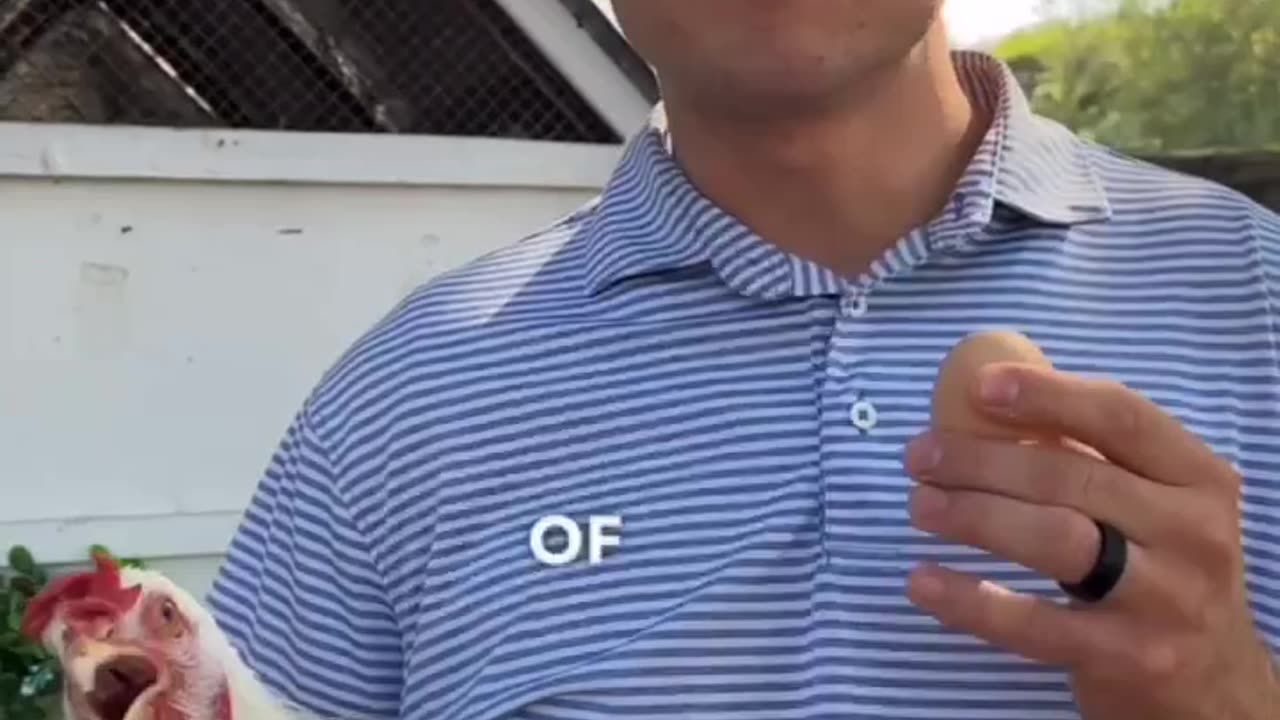 CHICKENS, EGGS & THE MAGIC OF FREQUENCY