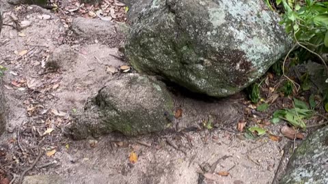 4/10 - Som Ambiente | Praia do Antenor, Gov Celso Ramos - SC | 24.09.23