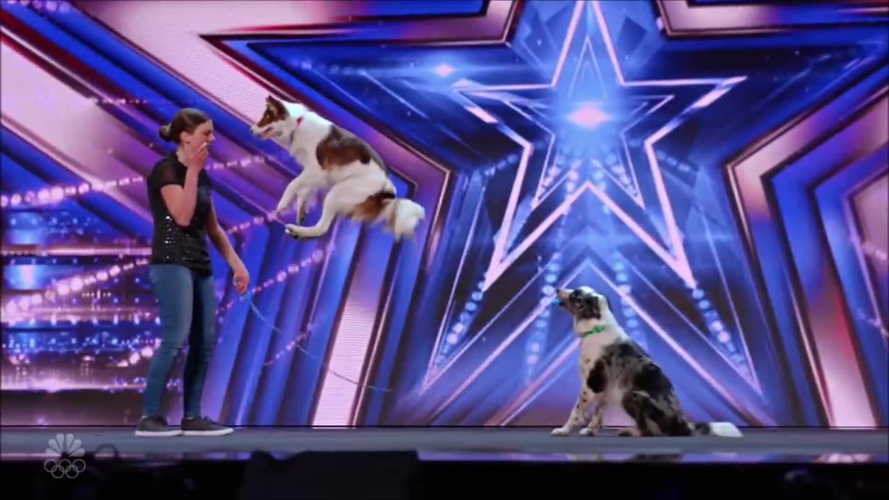 Alexandra Côté: Canadian Dog Trainer Gets Simon Cowell in on The Act!