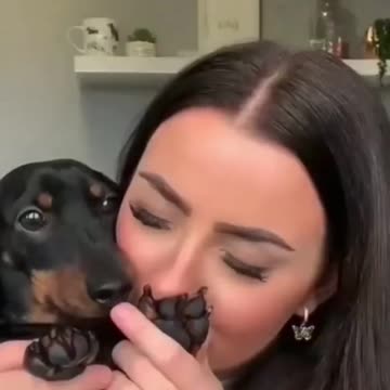 He loves the kisses of his beautiful owner