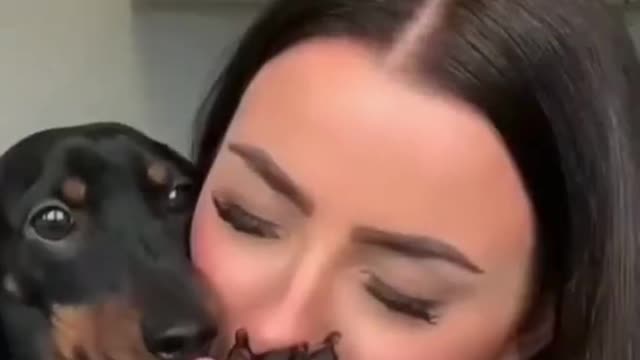 He loves the kisses of his beautiful owner