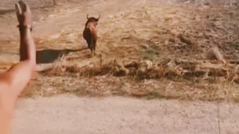 A near death accident