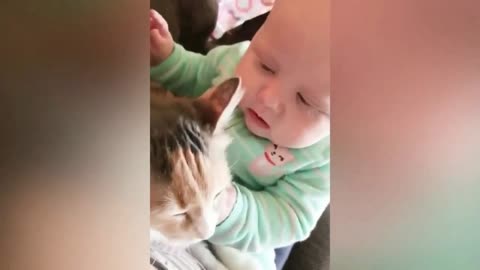 cute kittens and babies