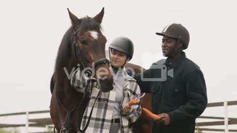 Two People Petting A Horse 1