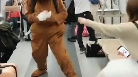 Bear in the subway🤣🤣