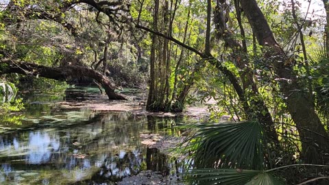 @ Rainbow Springs State Park