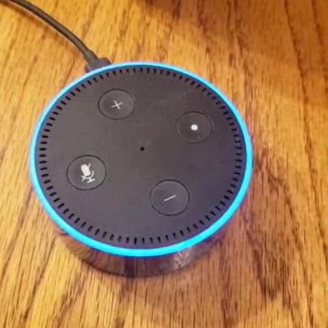 Hey Alexa? Who Is The President??