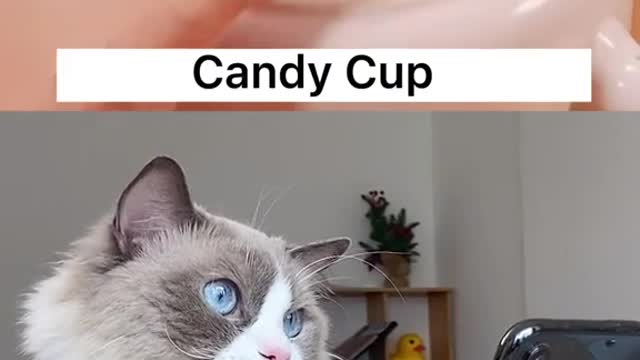 Candy Cup