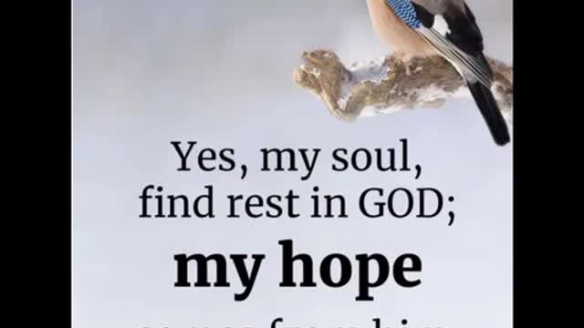 Some scriptures for your morning reflections