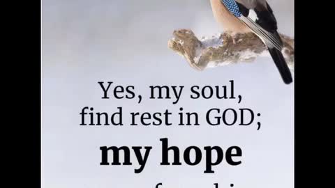 Some scriptures for your morning reflections
