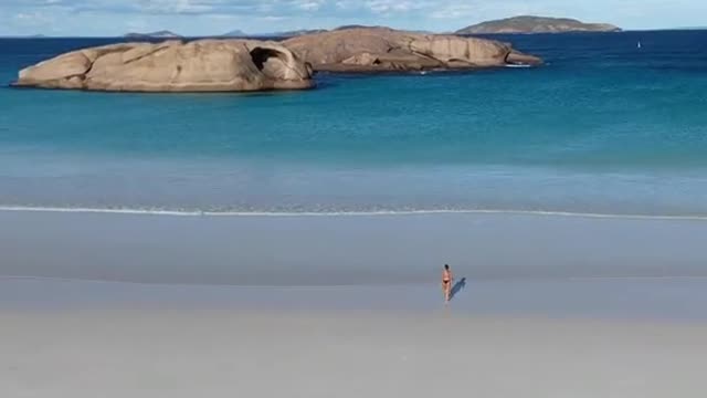 Buys a drone to try to see a Great White shark