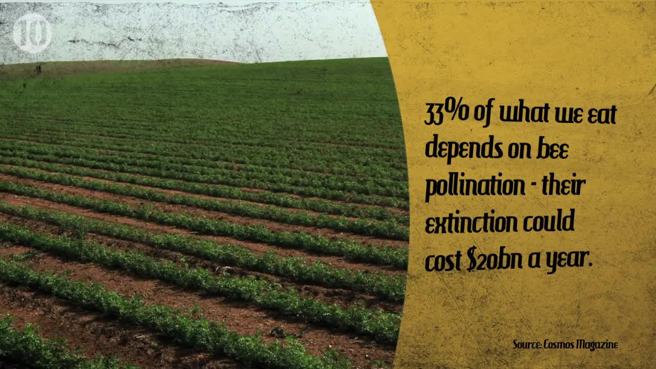 10 Things That Could Wipe Out Life On Earth