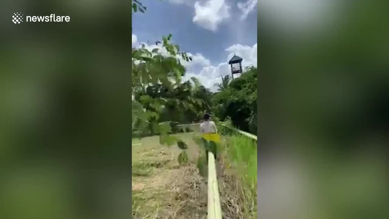 Major flex alert! Check out this rollercoaster ... built within a farm