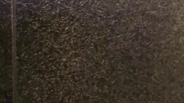 Huge Swarms of Mayflies Surround Lights