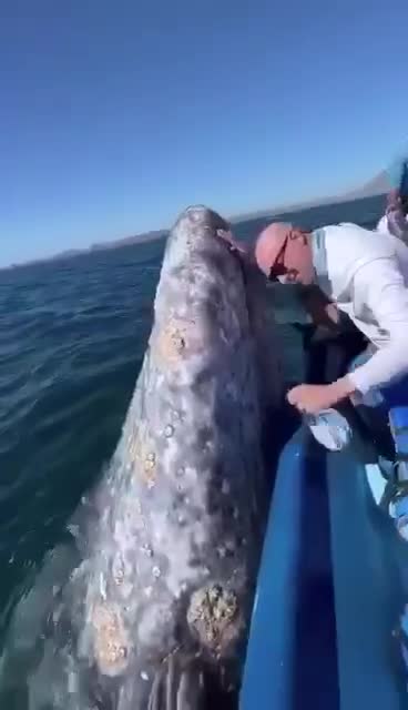 Can you feel the love ? ❤️‍🔥😉😊🤗😉❤️‍🔥