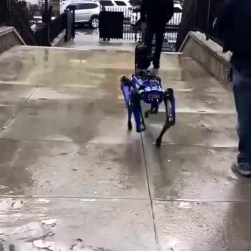 Le Chien Robot "DIGIDOG" patrouille pour la Police de New York City