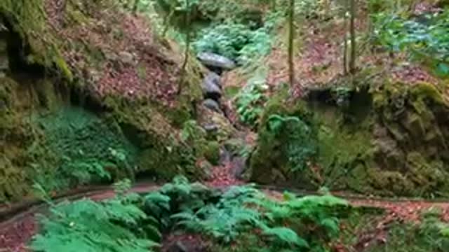 Madeira nature video and relaxing