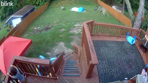 Tree fall almost hits son