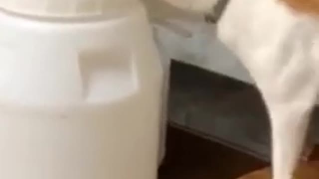 Look like someone need to change another bottle...