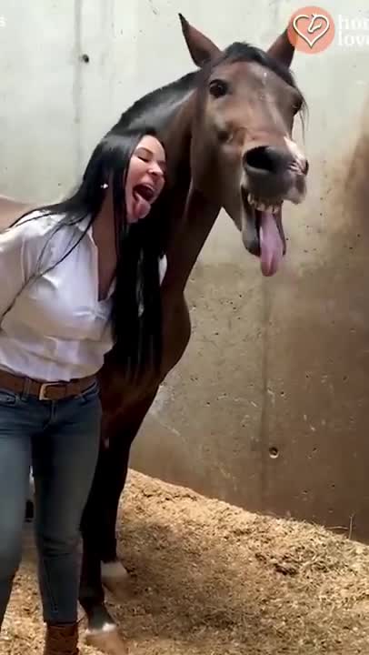 Funny Horse Videos - Try Not To Laugh [BEST OF]