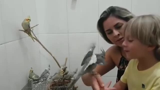 Criança come cabeça de pássaro 🐦