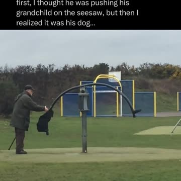 Dog swinging