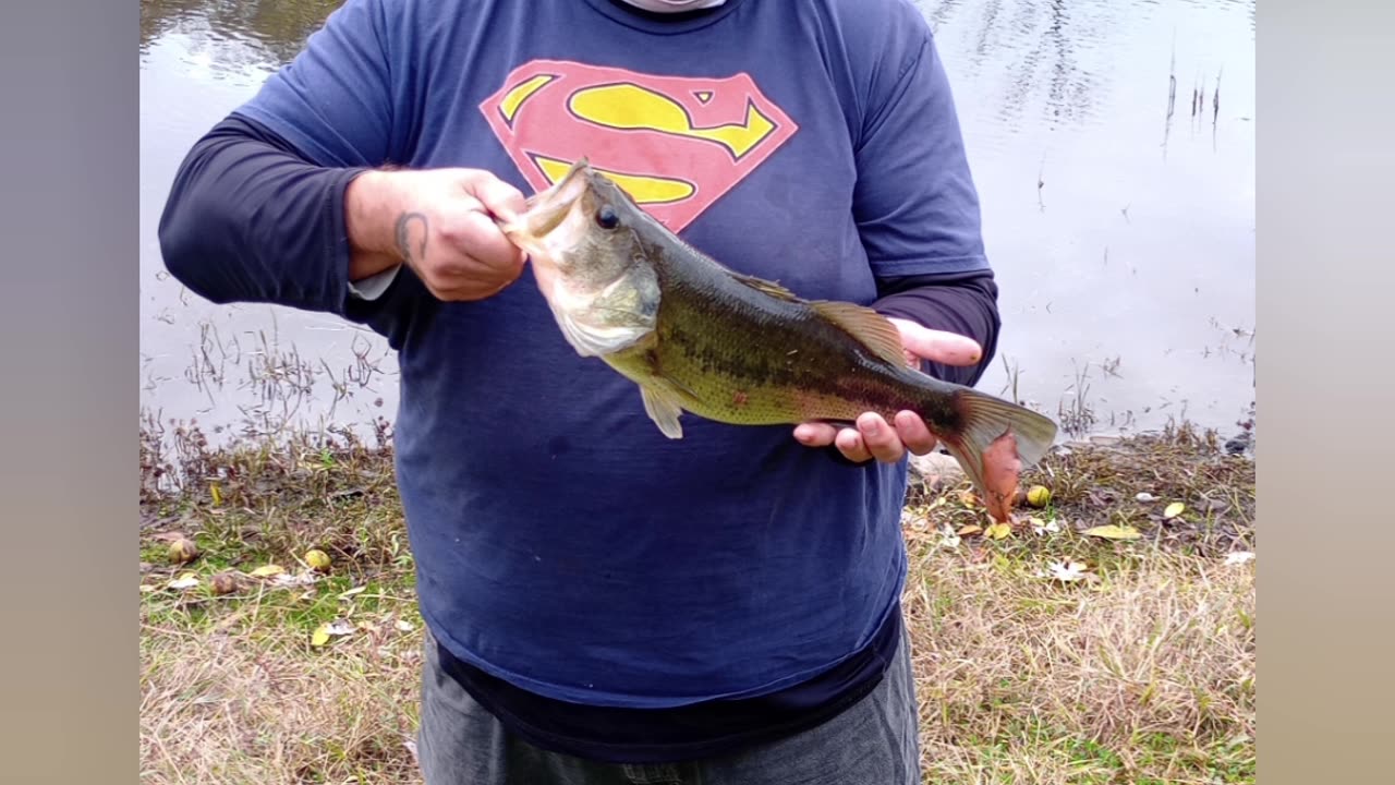 Largemouth Bass fishing