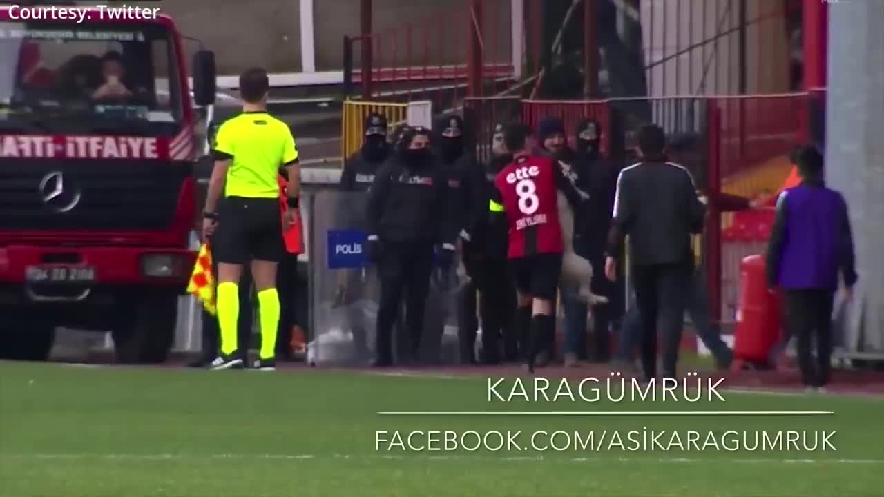 How a dog brought a football game to a screeching halt