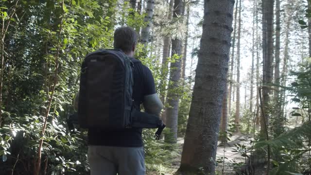 Men walk in the forest