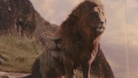 The Lion and your power