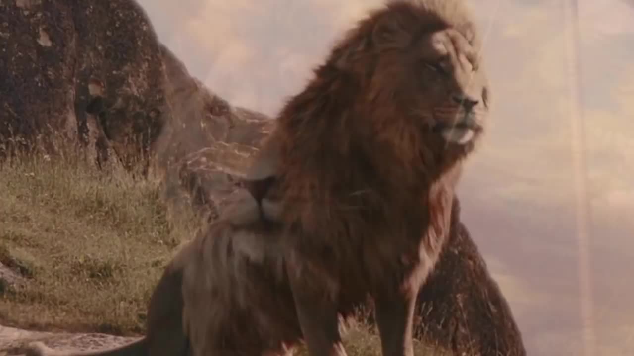 The Lion and your power