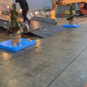 Sasebo japan navy ship new year 1