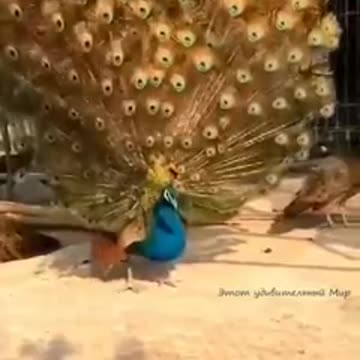 There are moments that you want to stretch out for a lifetime