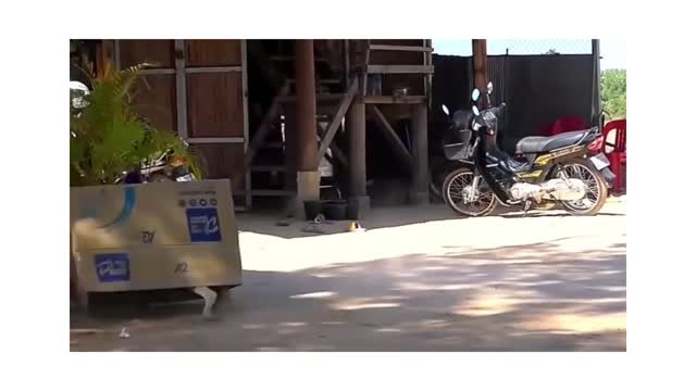 🤣 must watch.