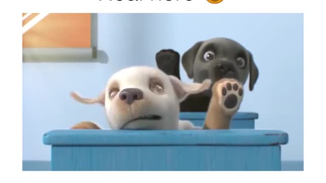 Animal