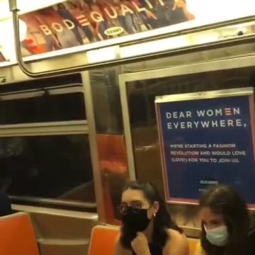 BASED - Woman on subway tears down disgusting propaganda part 2