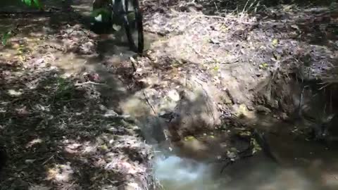 Guy in gray shirt riding mountain bike falls into water