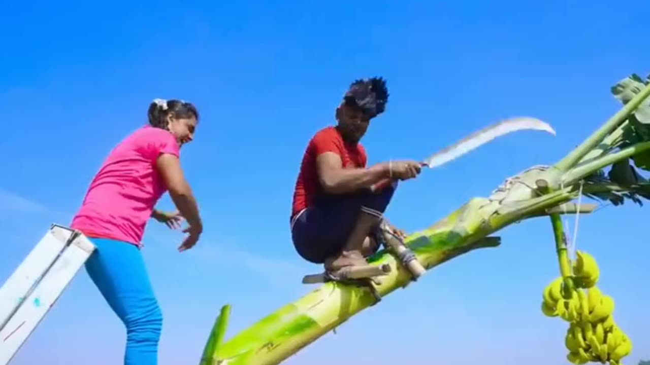 Funny video