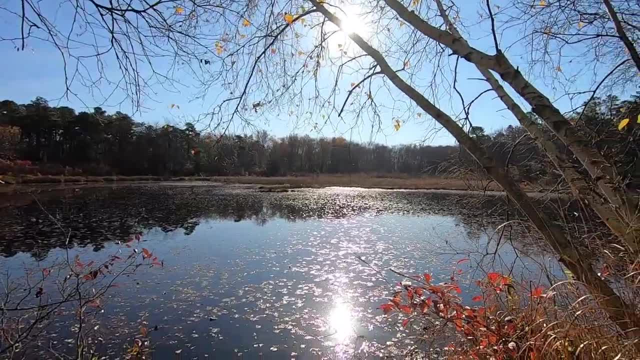 Large Format photography 4x5