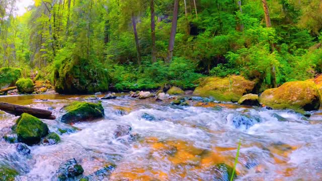 Natural scene/Beautiful views of the lakes rising from the mountains