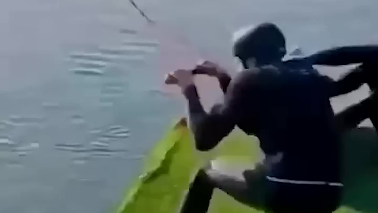 Funny Animals of the Day