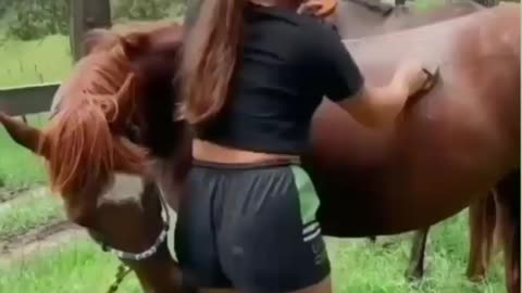 Funny horse play with girls