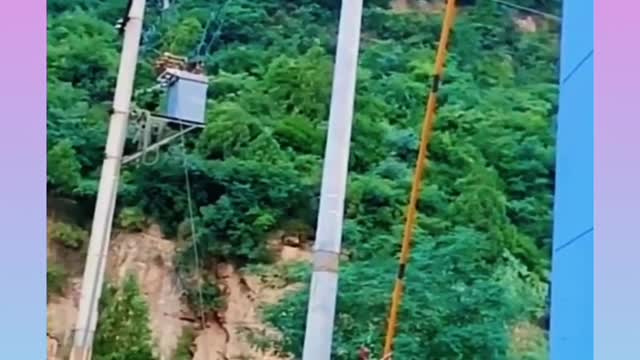 🐕baby dog2021🐶cute dogs🐕 funny dog,🐶dog compilation🐕short video🐶 cute animals videos🐕
