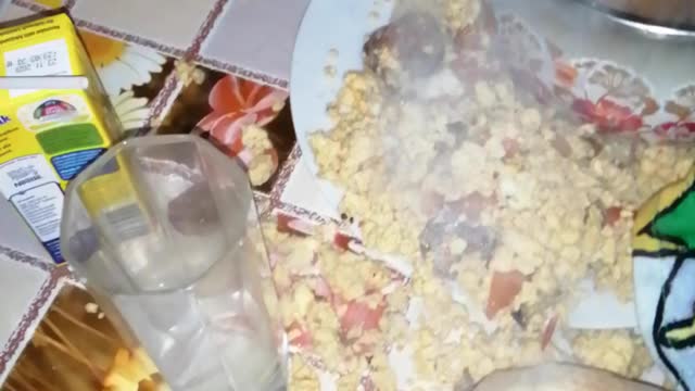 Home party goes wrong