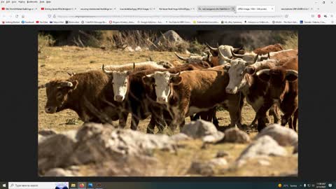 Nature is not fragile