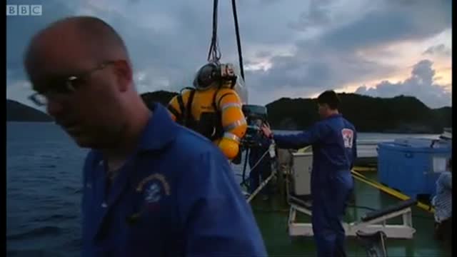 Yellow Submarine | Pacific Abyss | BBC Earth